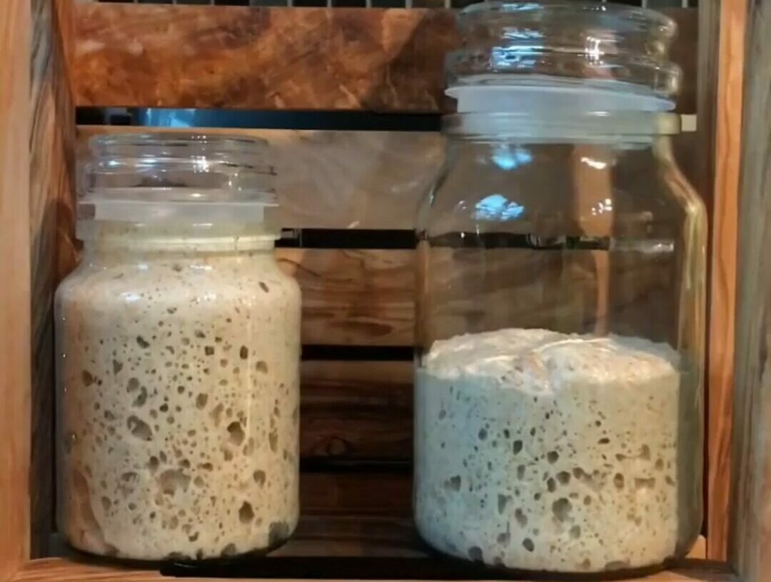 Easy Sourdough Starter